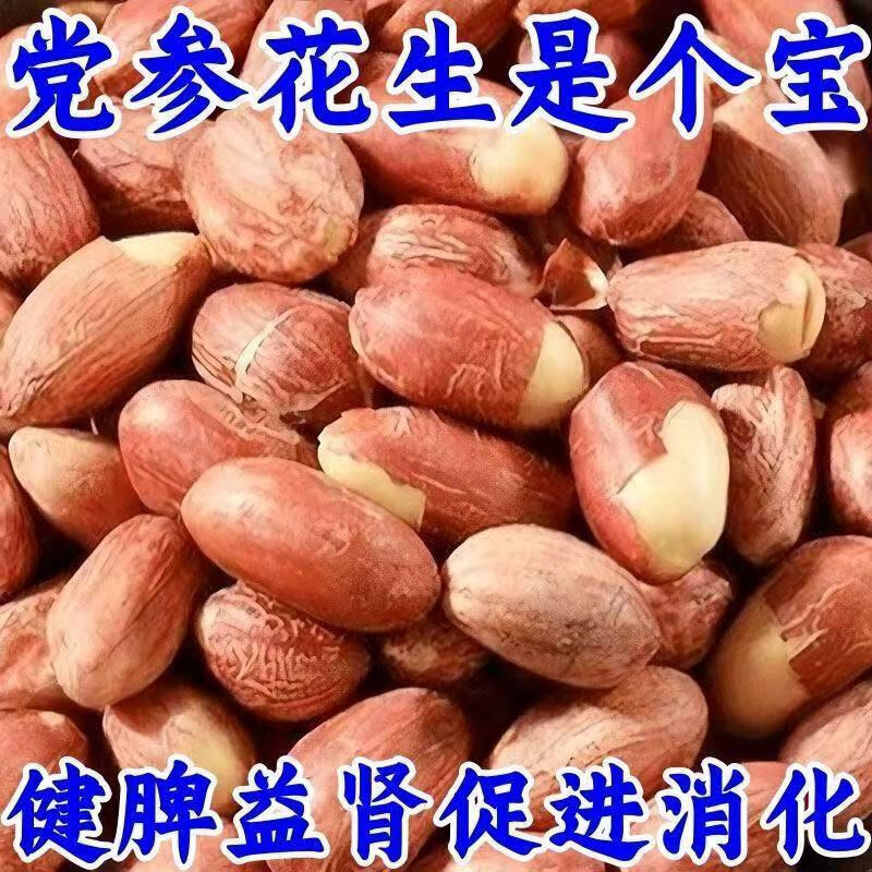 黄芪党参烤花生咸香酥脆五香烤花生米非油炸滋补下酒菜 五香烤花生 25袋 12.9元