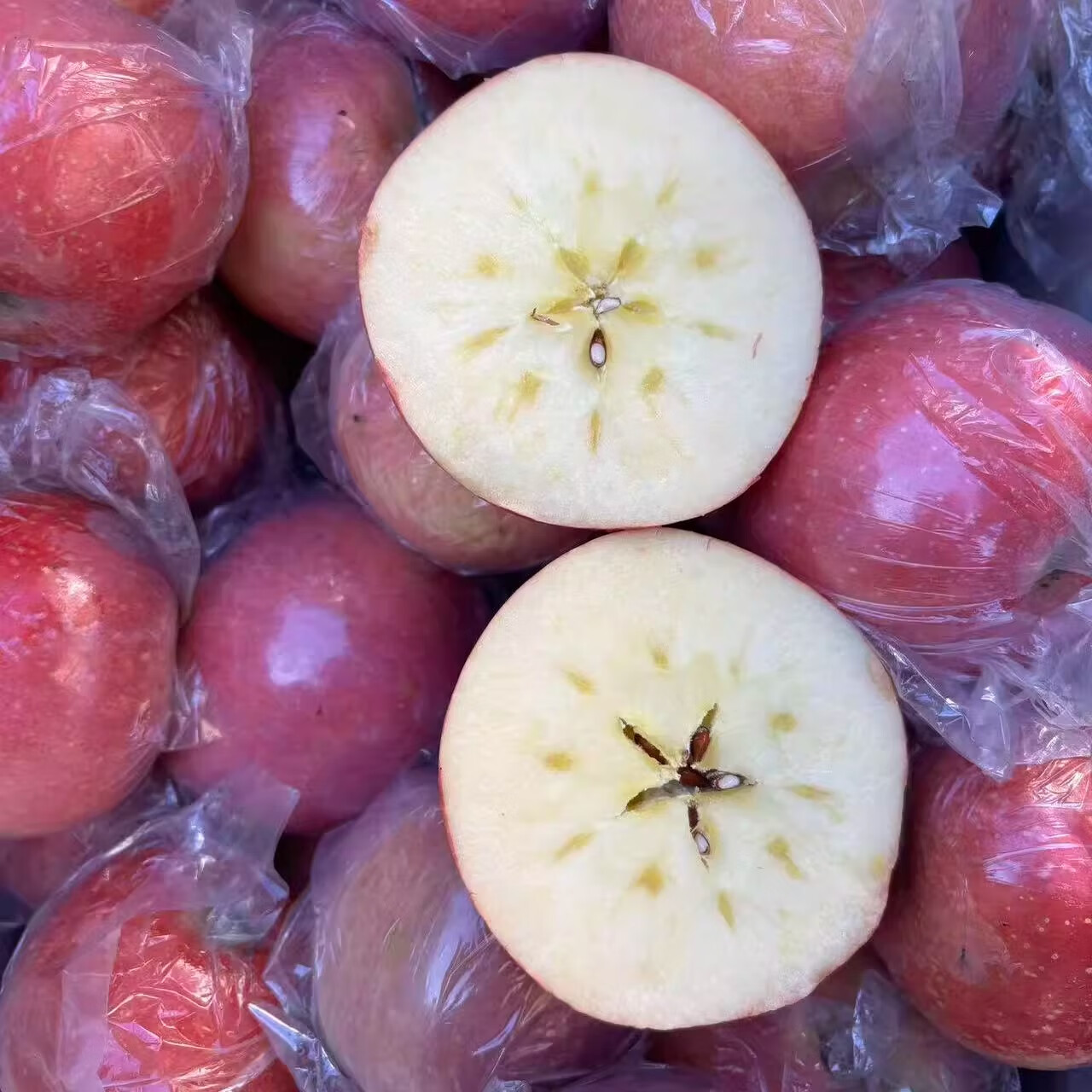 绿熊庄园正宗天然冰糖心山西丑苹果新鲜现摘脆甜多汁应季水果 送礼推荐 【回购爆款红富士】 单果75mm+ 净重8.5-9.5斤