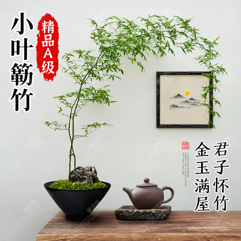 ������СҶ�{���辰������׮�������Ӱ칫�Ҳ����ļ�������ֲ��Դͷֱ�� 468Ԫ