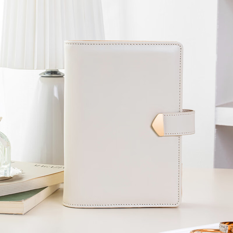 卡瑟格（CASEGRACE）便携首饰收纳袋包册皮革分格旅行珠宝首饰包 米白色 21*16*5cm