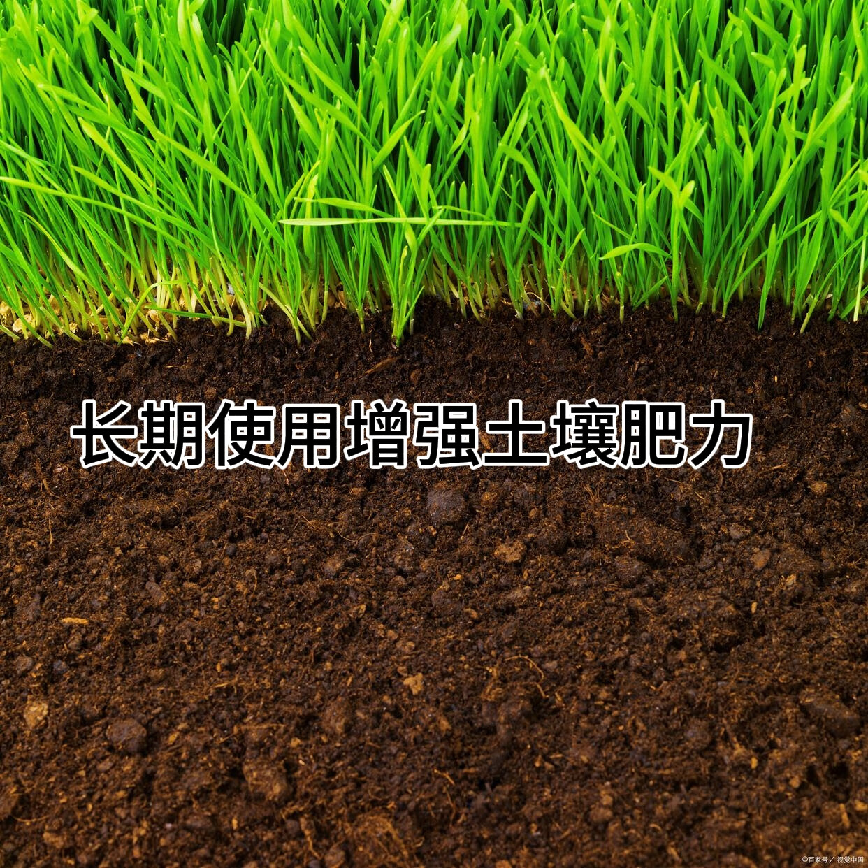 中国农资;SINO-AGRI5斤高端高钾高纯度硫酸钾好原料水溶肥营瓜果蔬菜草莓优惠中 高钾高纯度硫酸钾颗粒 5斤 分装 高钾高纯度钾肥花卉 农作物