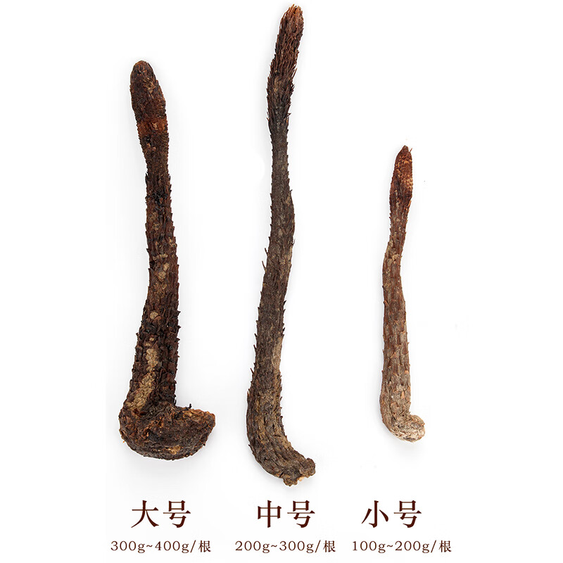 新疆特产 荒漠肉苁蓉整根 （100g-120g）*1根