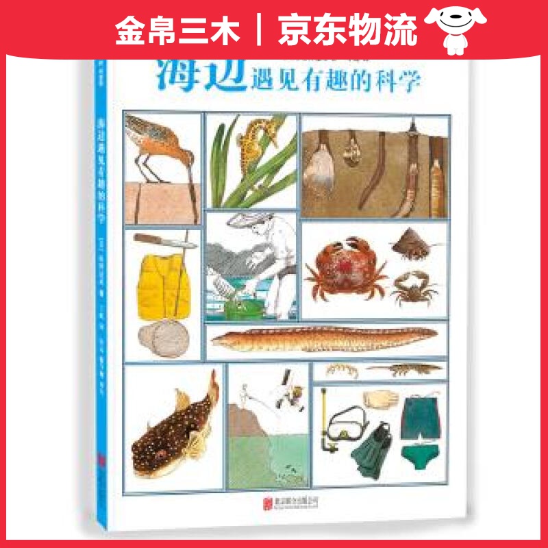 爱心树童书：海边遇见有趣的科学
