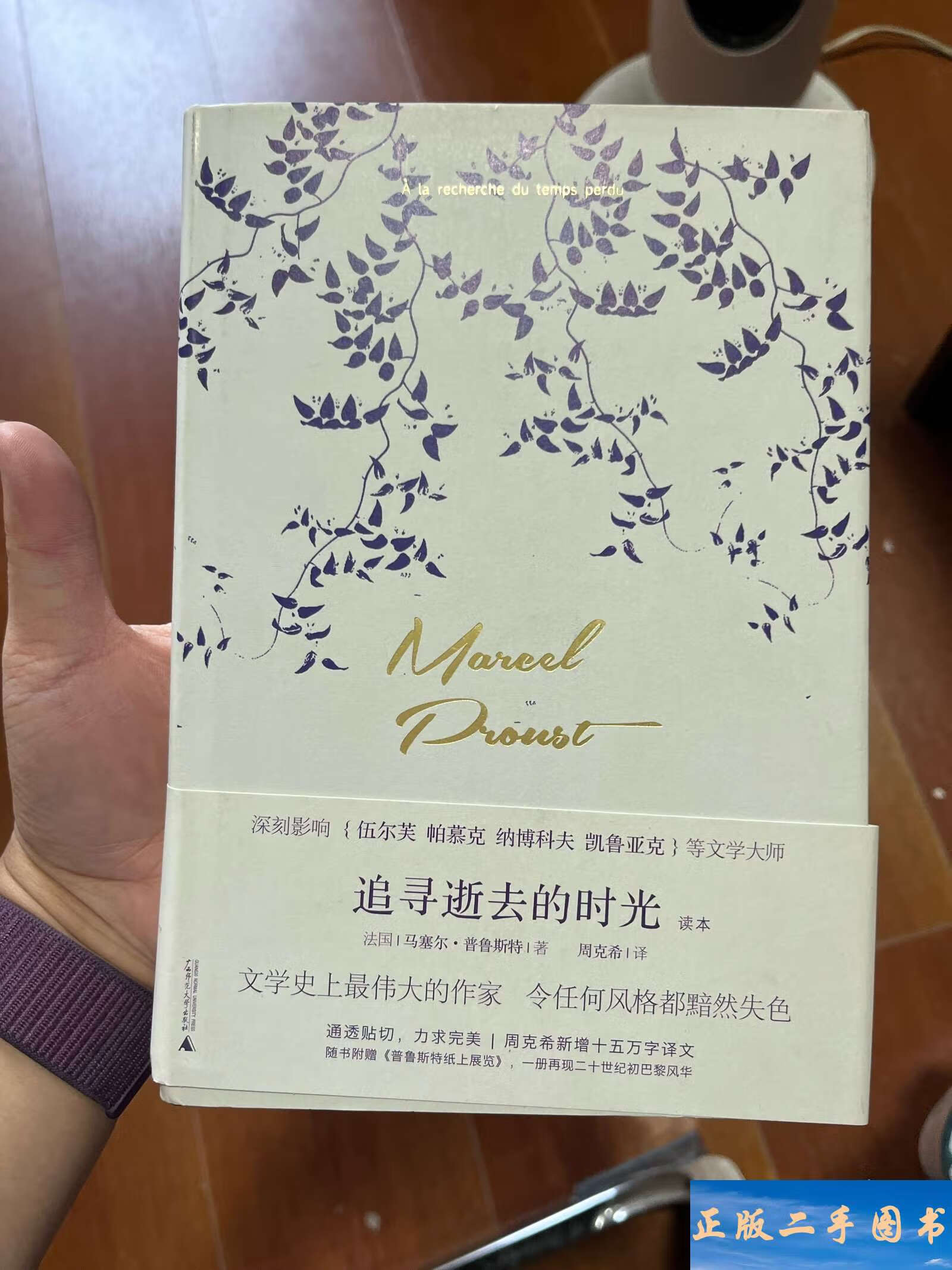 《追寻逝去的时光》读本 /马塞尔·普鲁斯特 广西师范