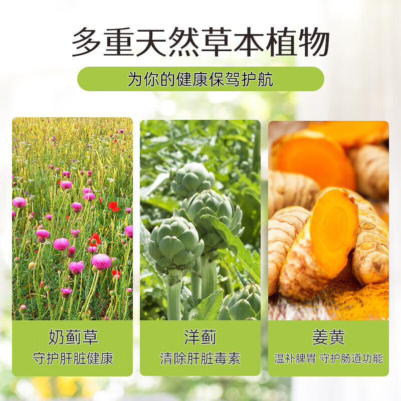 Swisse奶蓟草护肝片 清肺片 含奶蓟草姜黄洋蓟 熬夜加班应酬常备 【高性价比可吃100天】护肝片200片