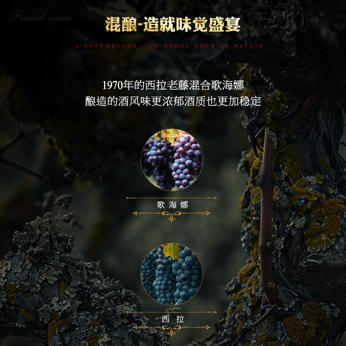 帛南花堡法国进口高档红酒AOC级14.5%度干红葡萄酒双支礼箱装节日送礼正品 【双支轻奢礼盒套装】