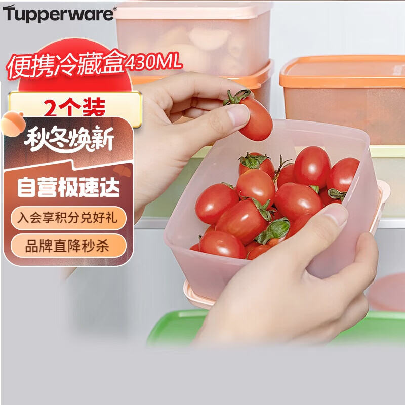 特百惠（Tupperware）冷藏400ml*2保鲜盒蔬菜水果收纳盒食品级冰箱储物盒密封不串味