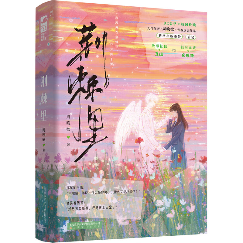 荆棘里周晚欲青春校园上海文化出版社新华书店正版