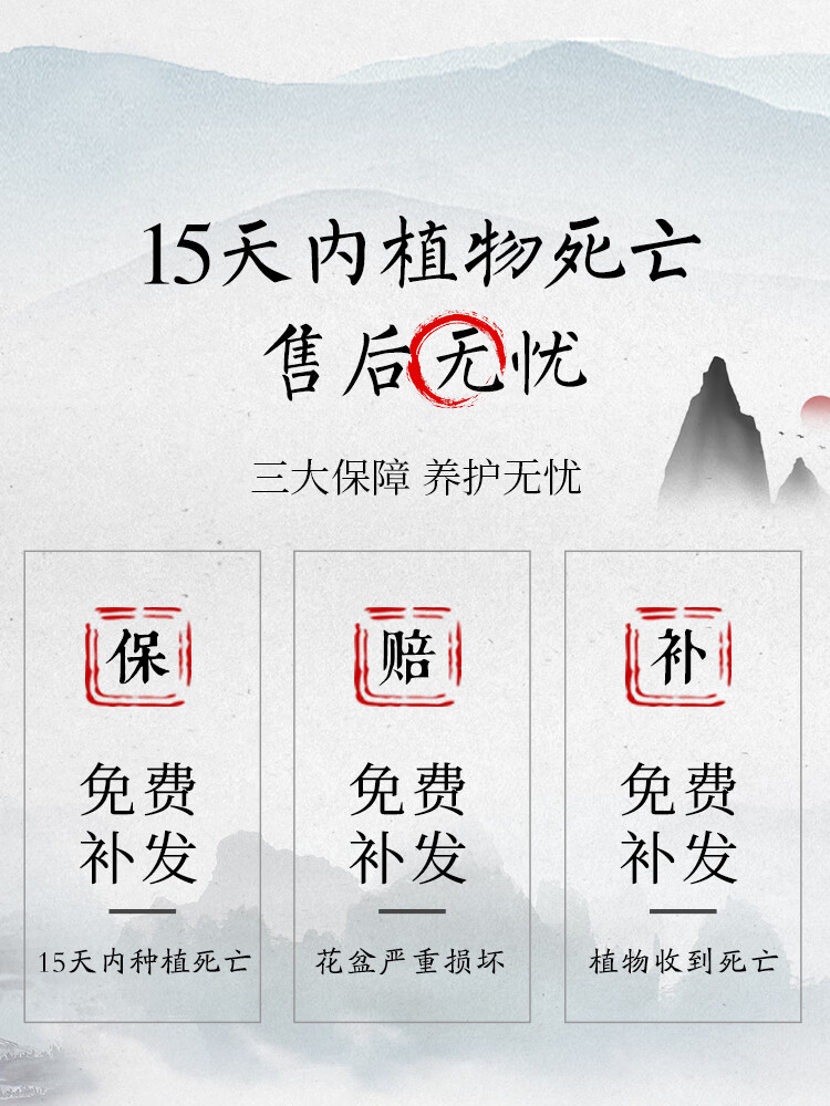 绿有意火焰南天竹盆栽红叶绿植中式禅意四季观叶桌面花卉好养耐寒植物 火焰南天竹（树脂甜甜圈盆）送肥料 耐寒好养