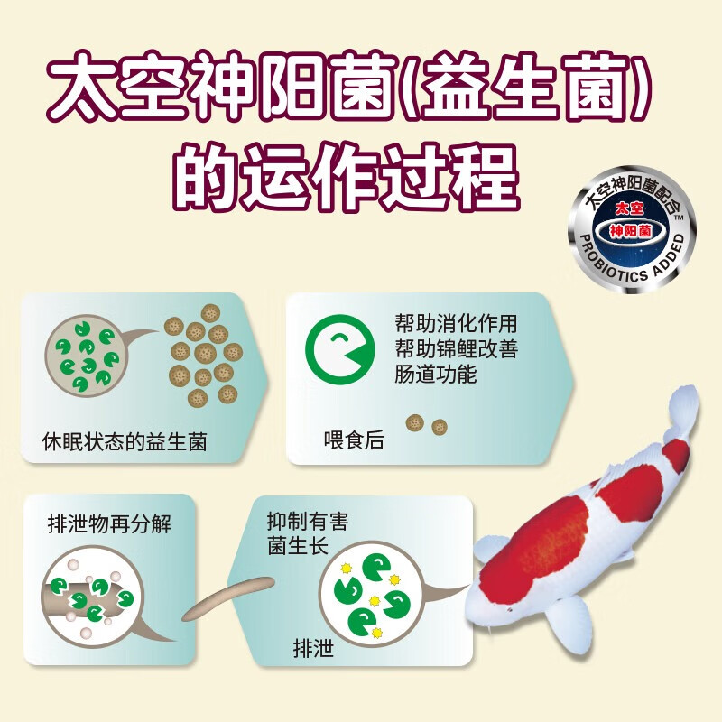 神阳巨鳞锦鲤鱼饲料高蛋白增色增体专用鱼粮赛级营养鱼食搭配套餐 育成1kg+艳红1kg M粒（快速成长增色）