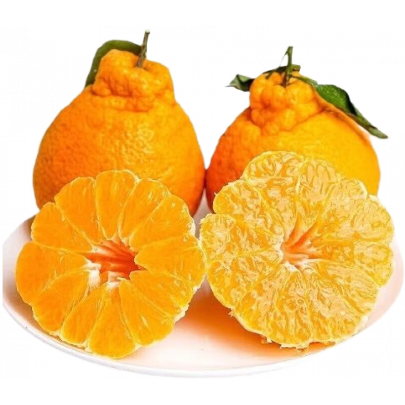 晟容果蔬四川丑橘正宗现摘黄皮橘子丑八怪不知火多汁当季新鲜孕妇水果整箱 5斤精选装【皮薄肉厚】净重4.5斤