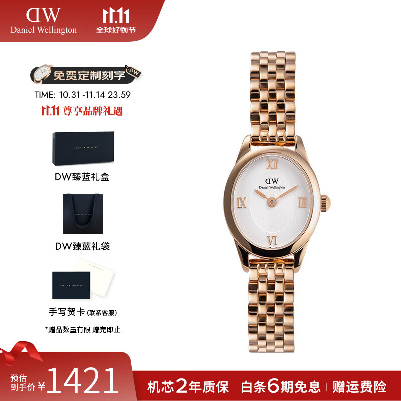 丹尼尔惠灵顿沈月同款DW手表女复古椭圆表女士石英手表欧美腕表七夕礼物送女友 冰川白椭圆表RG 25.5*22MM