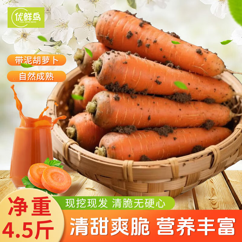优鲜鸟新鲜现挖带泥胡萝卜清脆爽口山东蔬菜源头直发净重4.5斤单根150g+ 净重4.5斤