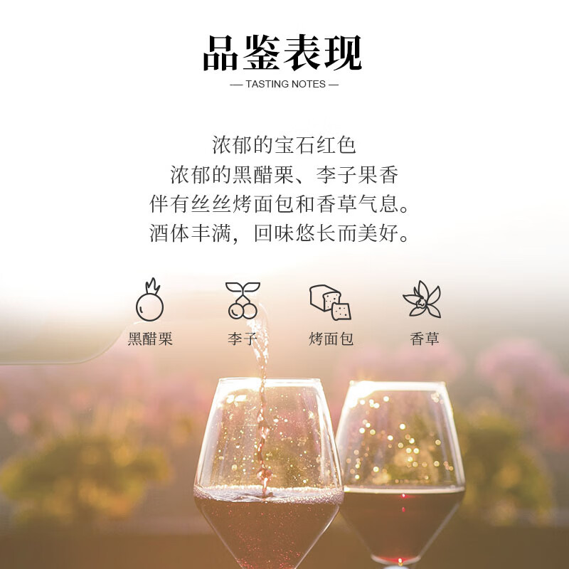 金羊毛【国际金奖/澳洲原瓶】澳洲原瓶进口红酒干红葡萄酒赤霞珠送礼酒 750ml*2瓶