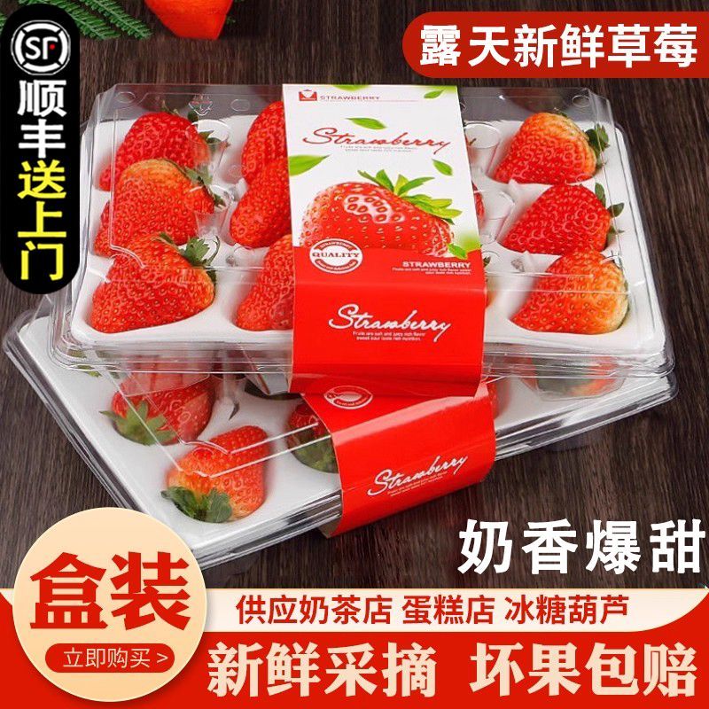 ǧ԰ζ ɽͲݮ99 ش 2 ˳ᵽ 19.95Ԫ/У 39.9Ԫ(ȯ)