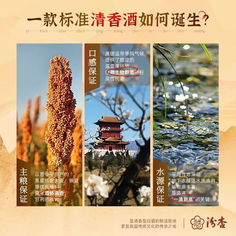 汾杏【官方正品】杏花村酒百年汾杏清香型白酒纯粮送礼聚会高度口粮酒 53度 475ml 6瓶 汾杏V15