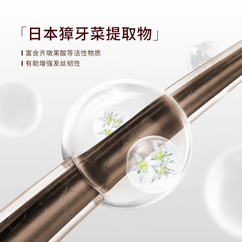 蝶印【日本原装进口】马油防断发洗发水500mL 无硅油蓬松强韧修护发丝 防断洗发水+滋养护发素1000ml