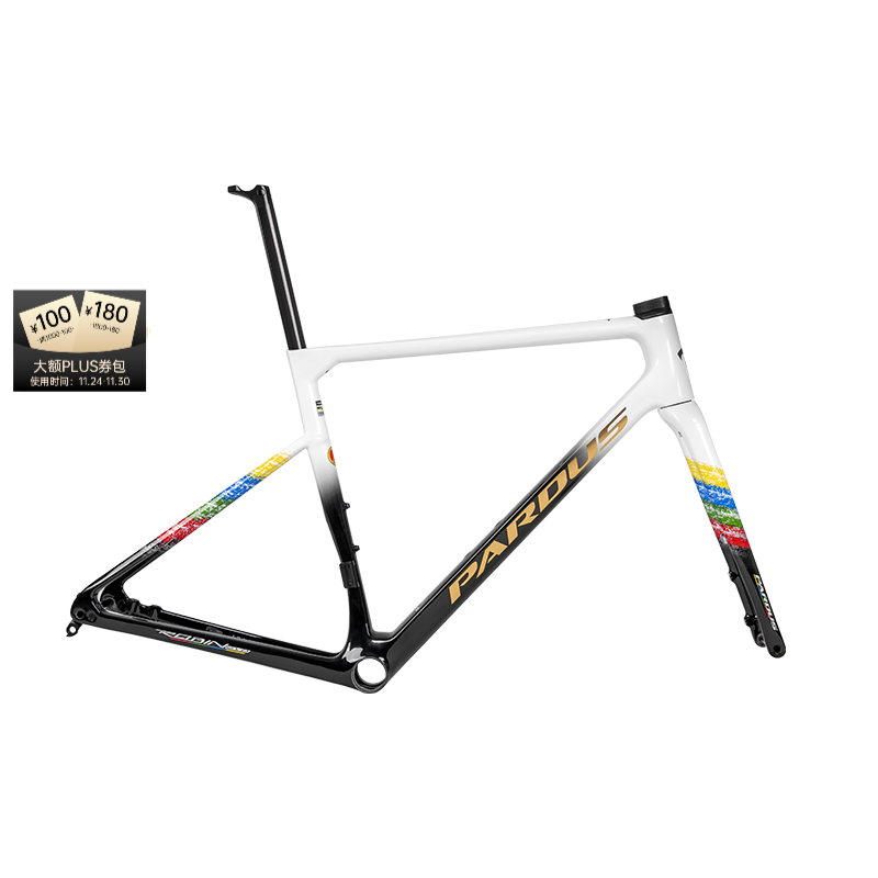 瑞豹（PARDUS）公路车知更鸟ROBIN EVO亚洲冠军版综合爬坡架电子变速油压碟刹 亚洲冠军版-车架组（48小时内发货） XS（适合身高160-168CM）