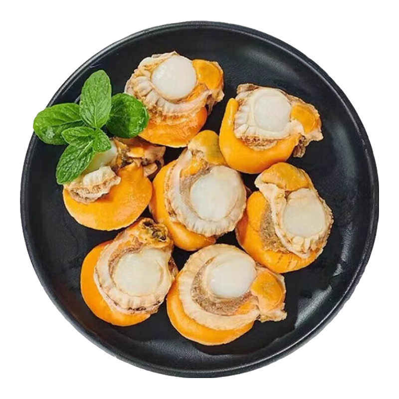 ֺš䶳ȱƴѾ240-80/ տ