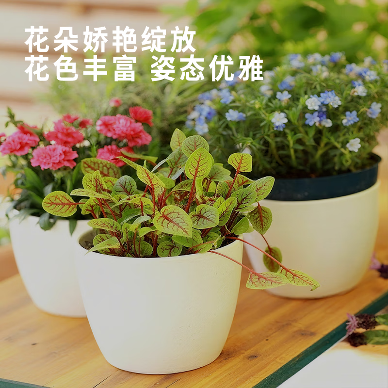 农神传奇 农神生物有机肥生物菌肥专用发酵花肥正品花卉养花植物通用型 生物有机肥1kg*1袋【花卉专用】