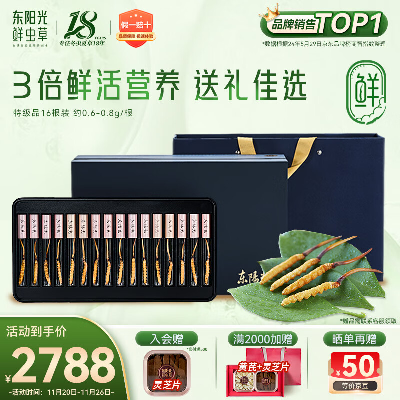 东阳光鲜虫草0.6-0.8g/根16根新鲜冬虫夏草补品送长辈老人源头直发包邮