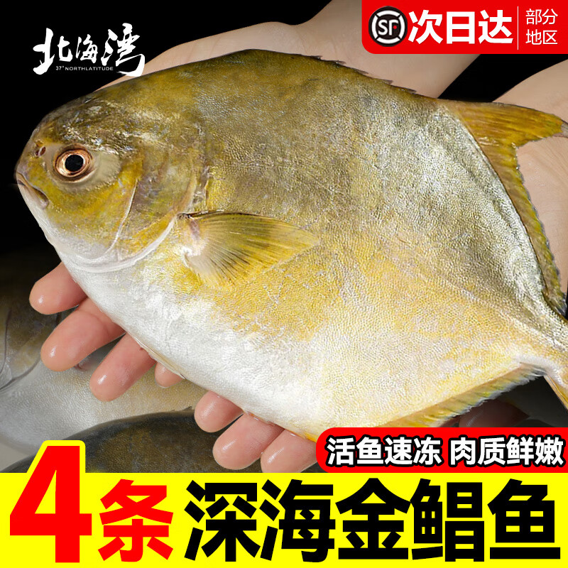 北海湾 海捕金鲳鱼净重200-300克/条 共4条 到手49.9亓包邮，折12.47/条，光泽紧致，刺少肉多，肉厚饱满 - 线报酷