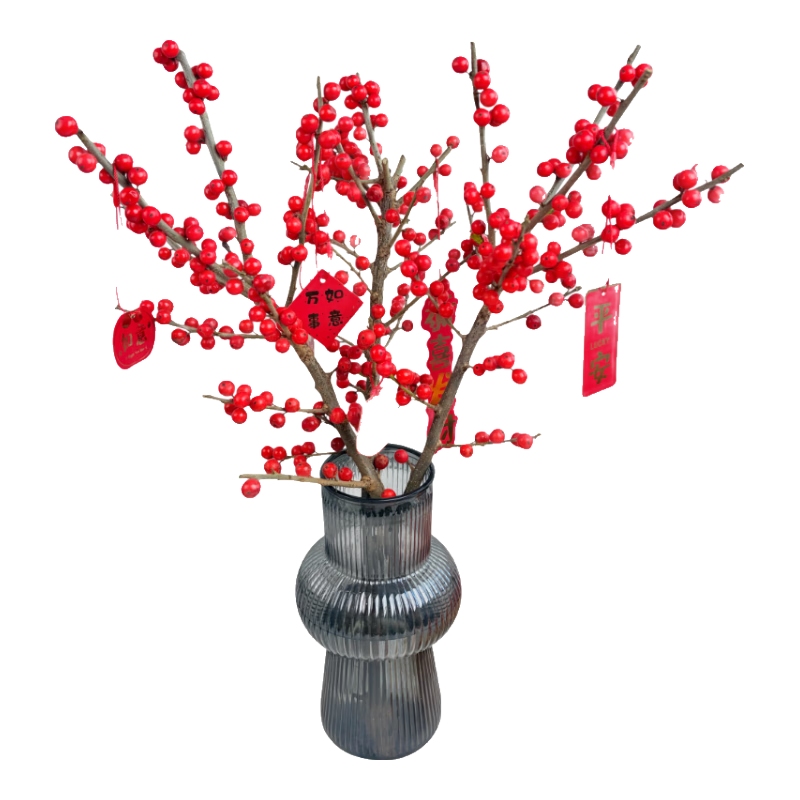 京东鲜花进口冬青3支红果鲜花送花瓶鲜切花水培室内元旦年宵花卉源头直发