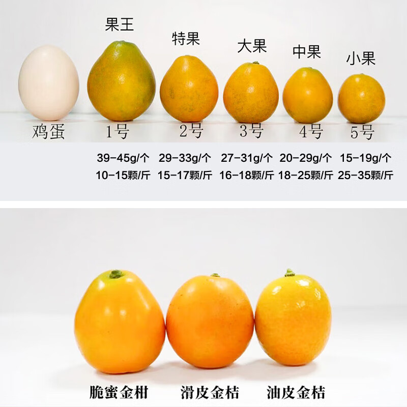 融安金桔旗舰店正宗广西脆蜜金桔第三代脆蜜金柑小金桔子新鲜水果礼盒装 伴手礼盒 滑皮净1.8斤 单果20g+【独立包装】无手提袋