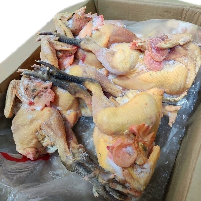 黑脚大公鸡 散养土公鸡 新鲜冷冻 农村散养食堂饭店首选 3