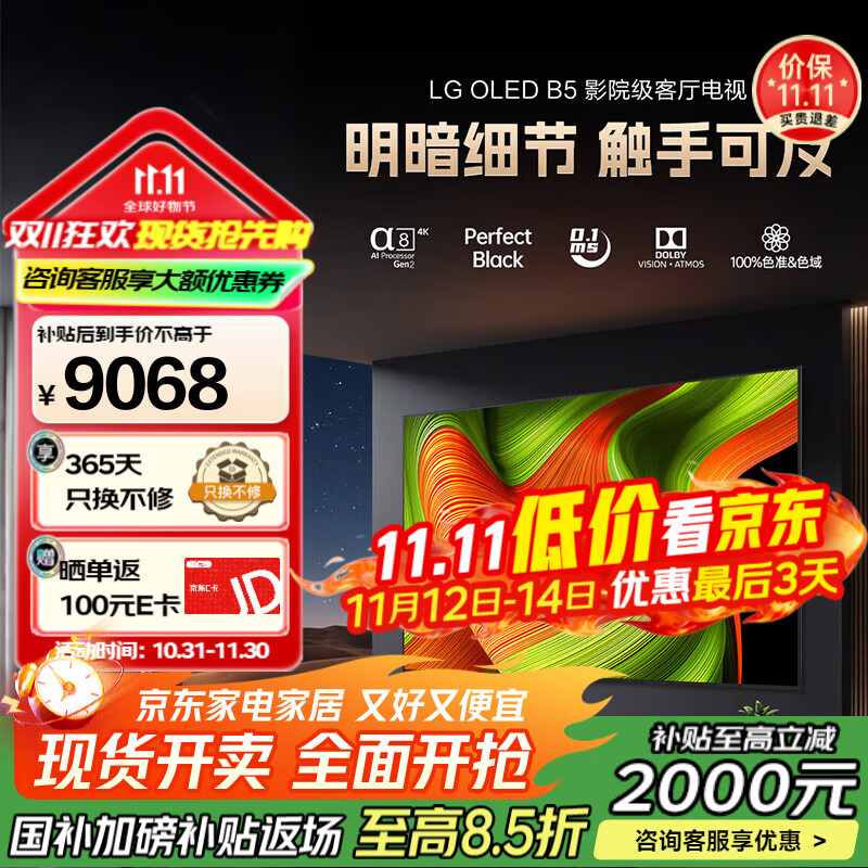 LG65英寸电视新款B5系列 OLED AI 音画芯片 4K电视OLED65B5PCA 65英寸