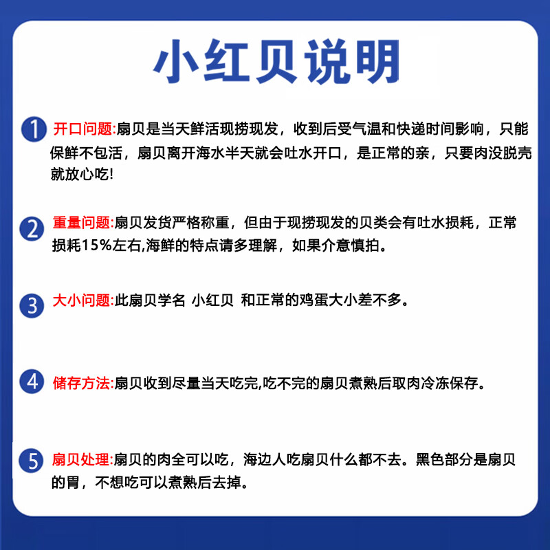百鲜洽【时令上新】小红贝鲜活大扇贝特大号新鲜水产带壳贝类聚会烧烤 精选大号小红贝 净重5斤(约10-16个/斤)