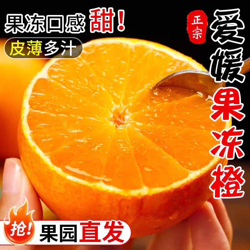四川爱媛38号果冻橙 当季柑橘桔子新鲜当季水果柑橘桔子时令 2.5斤单果60-65mm【香甜多汁】净重2斤 新鲜