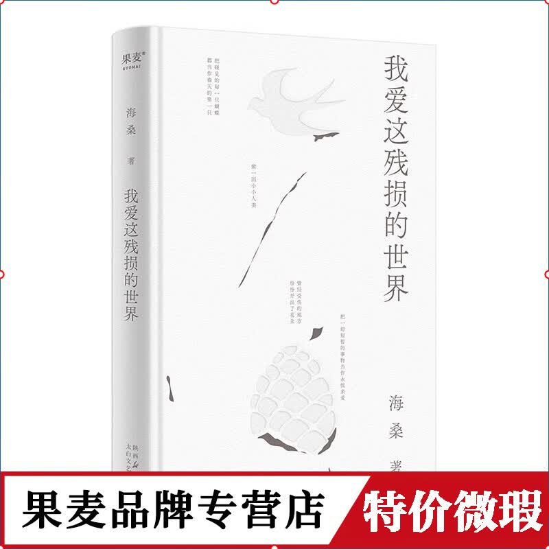 【正版微瑕】 我爱这残损的世界 海桑全新诗集 小嘉推荐  诗歌 我是你流浪过的一个地方作者 用心描述生活细节里的真美 果麦出品  阅读狂欢节 文学