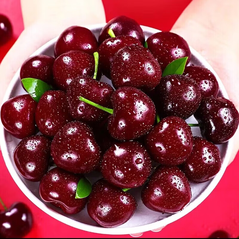 疆域采虹正宗智利进口车厘子大樱桃当季孕妇新鲜水果礼盒生鲜整箱 750g(净重) 礼盒2斤含箱 J级