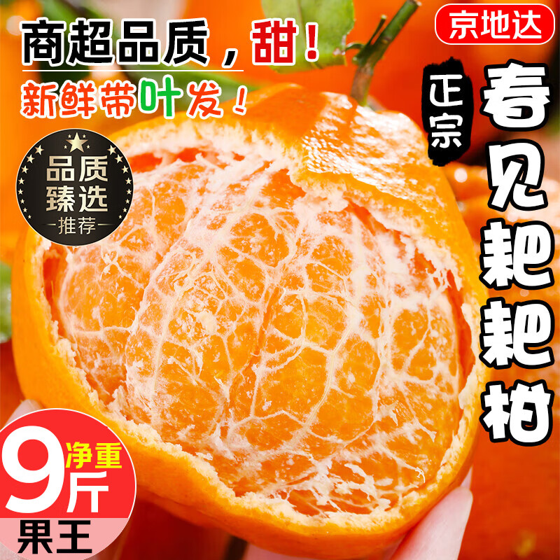 京地达四川春见耙耙柑 9斤臻稀果王100mm+粑粑柑整箱新鲜水果源头包邮