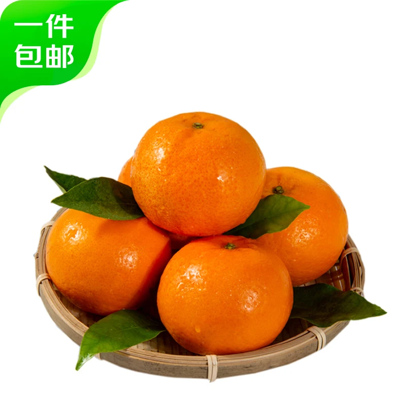 ������ ���ϸ�ɽ�ָ� 5�� ����140g�� Դͷֱ������ 12.9Ԫ