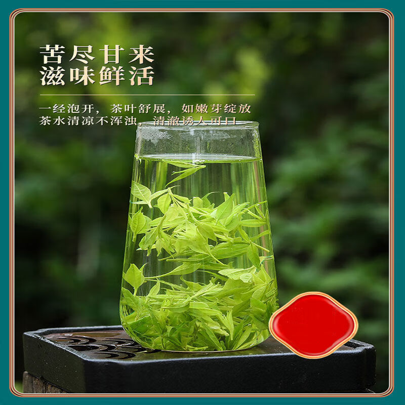 其他毛冬青茶云南毛冬青嫩芽茶叶青山绿水厂家毛冬青茶叶 毛冬青茶100