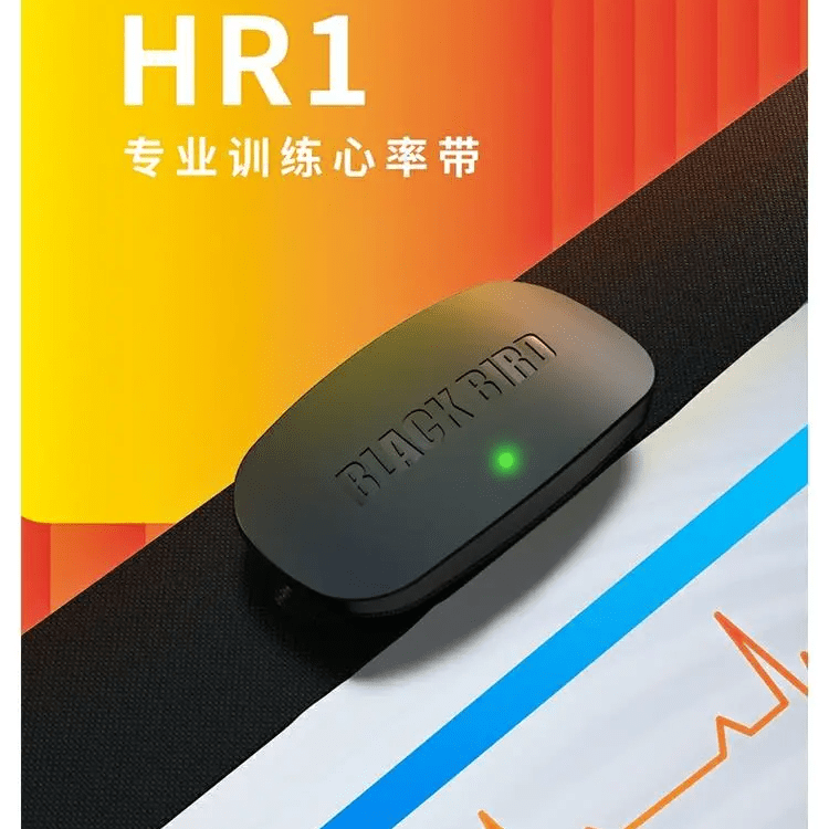 黑鳥雙模心率帶胸帶支持藍(lán)牙ANT+戶外騎行運動騎行心率監(jiān)測器 黑鳥心率胸帶