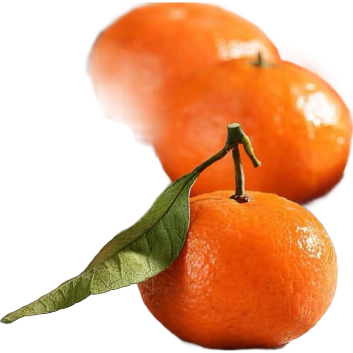 ڹɰ Ƥɳǽ  5װ 14.9Ԫ