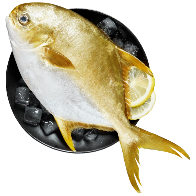 賣(mài)魚(yú)郎先生 國(guó)產(chǎn)活凍金鯧魚(yú)2-2.4斤 2條裝 深海魚(yú) 生鮮 魚(yú)類(lèi)海鮮水產(chǎn)