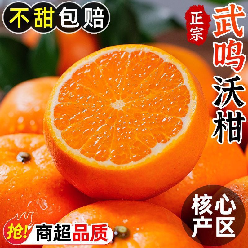 正宗广西武鸣沃柑蜜橘柑橘桔子橘子新鲜水果当季整箱源头直发 净重8.8-9斤小果【60-65mm】