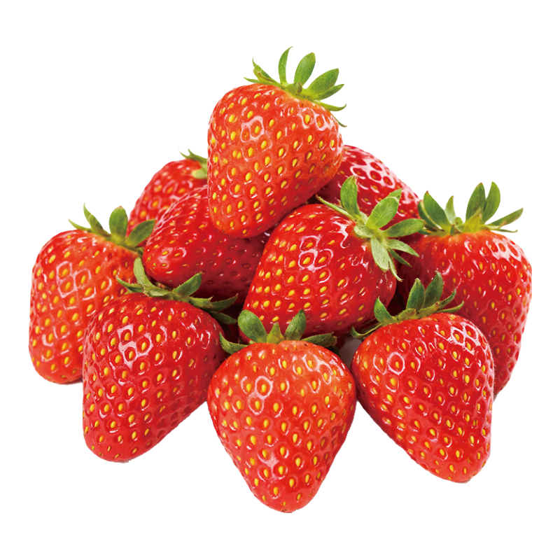 ɽ ²ݮ ¶ֲ ժ 3 15-18g 74.9Ԫ(ȯ)