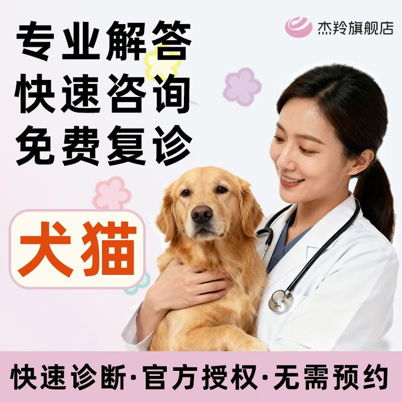 KR杰羚宠物医生兽医问诊在线咨询犬猫咪看病医院网上24小时医疗服务 主任医生【犬猫通用】