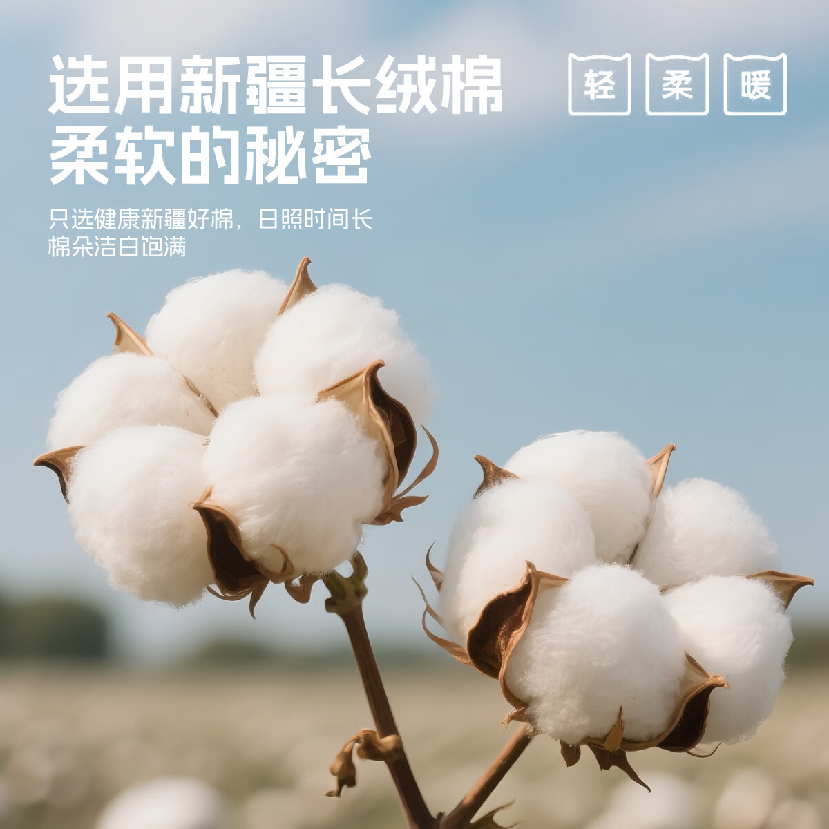 猪猪侠（GG·BOND）儿童卡通印花加绒卫衣撞色男童插肩袖女童上衣冬季新款休闲内搭 黑色 130