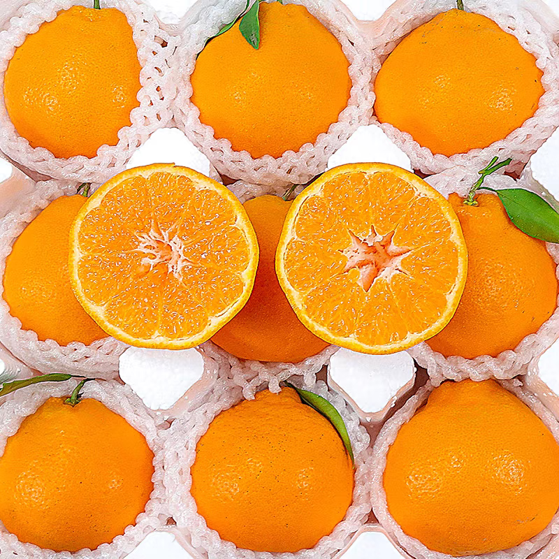 乌仙子正宗四川春见耙耙柑（拍2件合并一箱发货)爆汁当季新鲜水果柑橘 严选春见耙耙柑 净重4-4.5斤【特大果】 19.9元