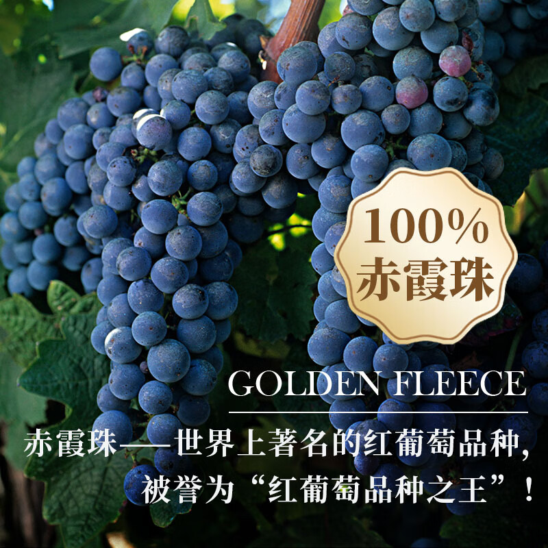 金羊毛【国际金奖/澳洲原瓶】澳洲原瓶进口红酒干红葡萄酒赤霞珠送礼酒 750ml*2瓶