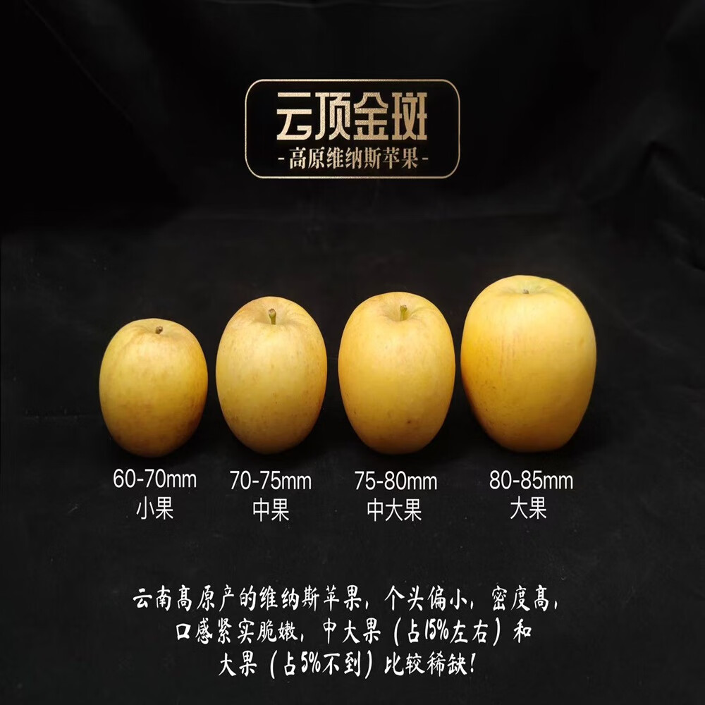 【顺丰发货】云顶金斑云南维纳斯黄金苹果浓香浓甜 家庭装/礼盒装 家庭装4斤大果
