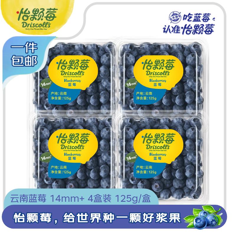 怡颗莓Driscoll's 云南蓝莓14mm+ 4盒装  约125g/盒 新鲜水果 源头直发