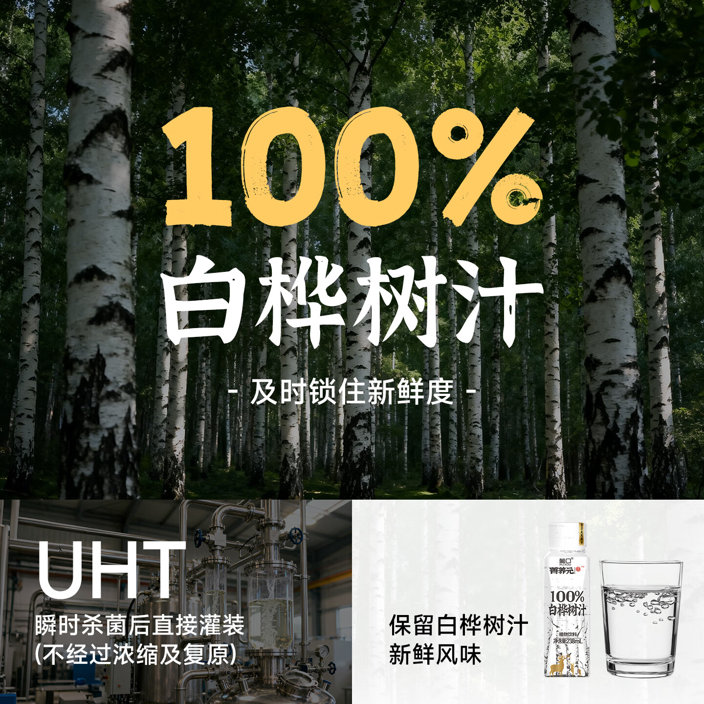 葡口100%白桦树汁原液天然NFC植物饮料大兴安岭0卡0脂肪解腻聚会送礼 【238ml*10瓶】小包装易携带 日期新鲜破损包赔
