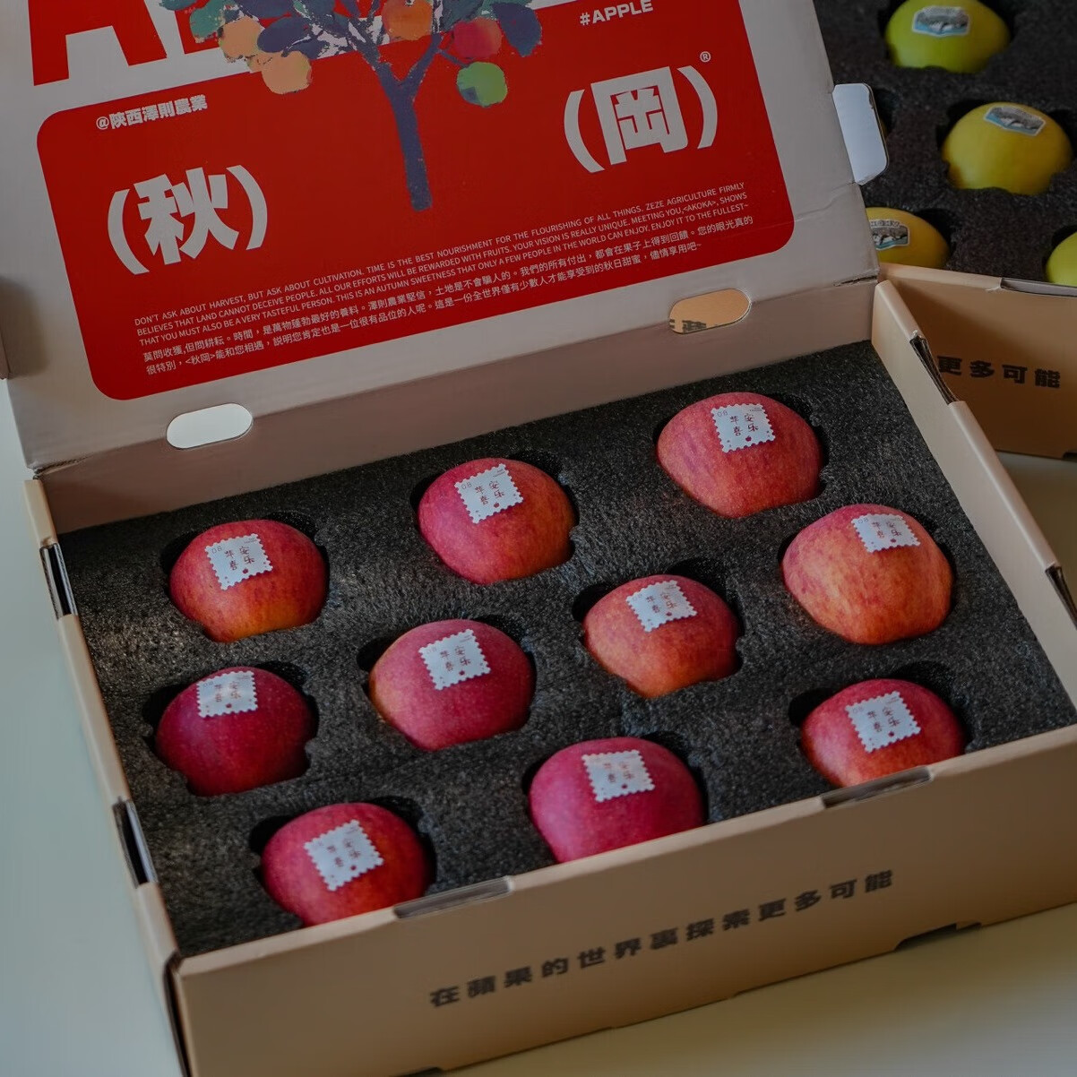 洛川高原秋冈苹果EV 花蜜甜香品种来自"世界第一"+"昂林"年货礼盒 严选中大果【4.5斤家庭分享装】9-12 枚 | 顺丰锁鲜